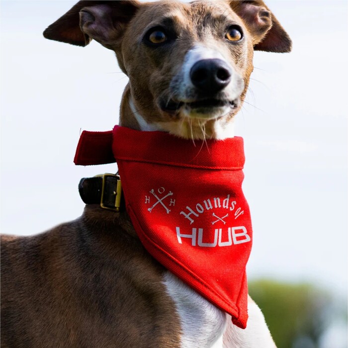 2024 Huub Pet Bandana Scarf A2-PET - Red